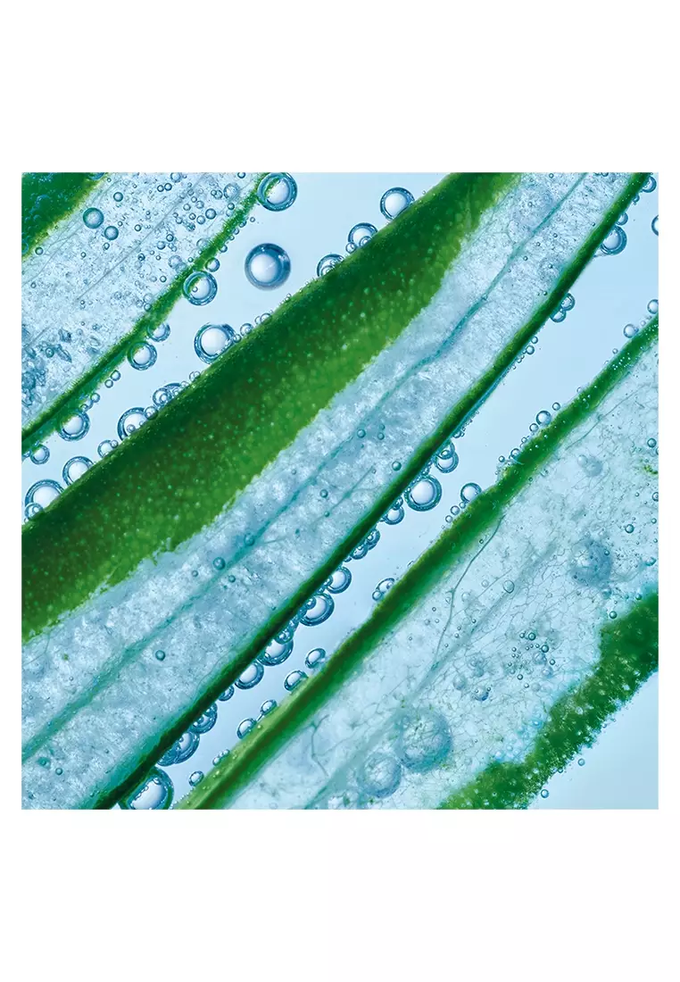 Hydra Vegetal 100H Moisturizing Serum with Edulis Cellular Water-30ml for All Skin Types