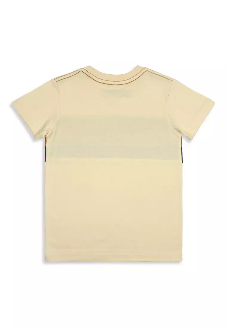 Boys T-Shirt With Print Details