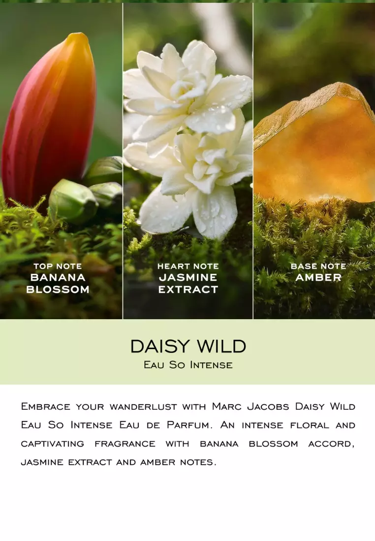 Daisy Wild Eau De Parfum 100 ml - Banana Blossom, Jasmine, Vetiver | Fruity Floral Perfume