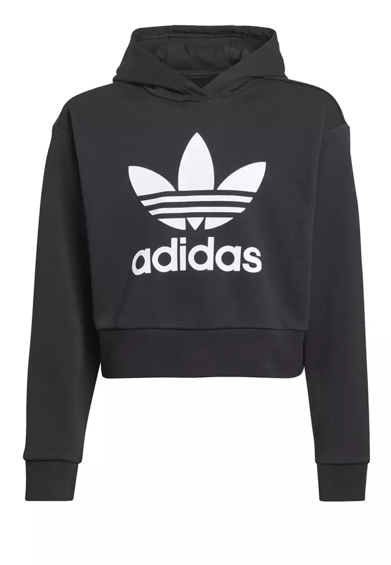 Buy ADIDAS Adicolor Cropped Hoodie 2024 Online | ZALORA Philippines