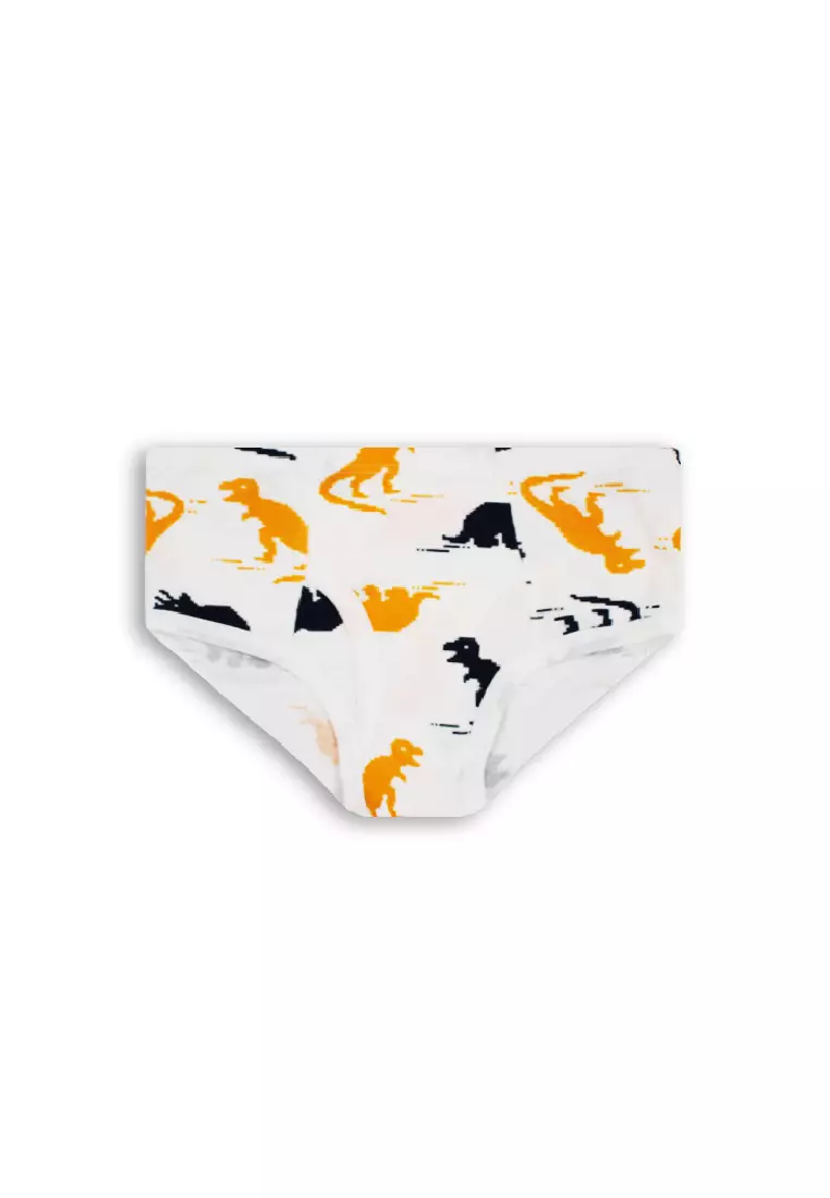 Buy Biofresh Boys' Antimicrobial Cotton Bikini Brief 3 Pieces In A Pack  Ucbcg20 2024 Online