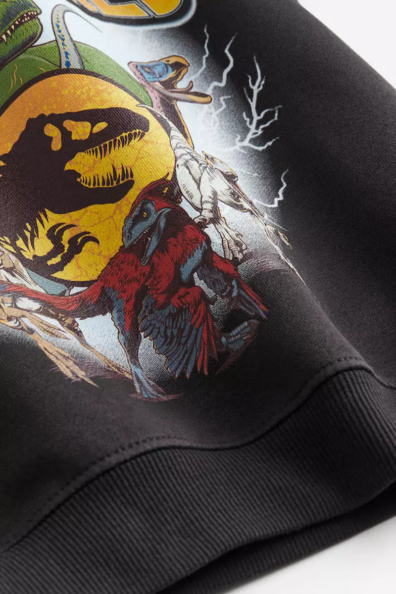 Jurassic Park Printed hoodie