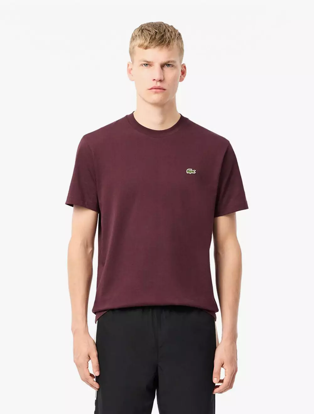 Classic Fit Cotton Jersey T-shirt - Green