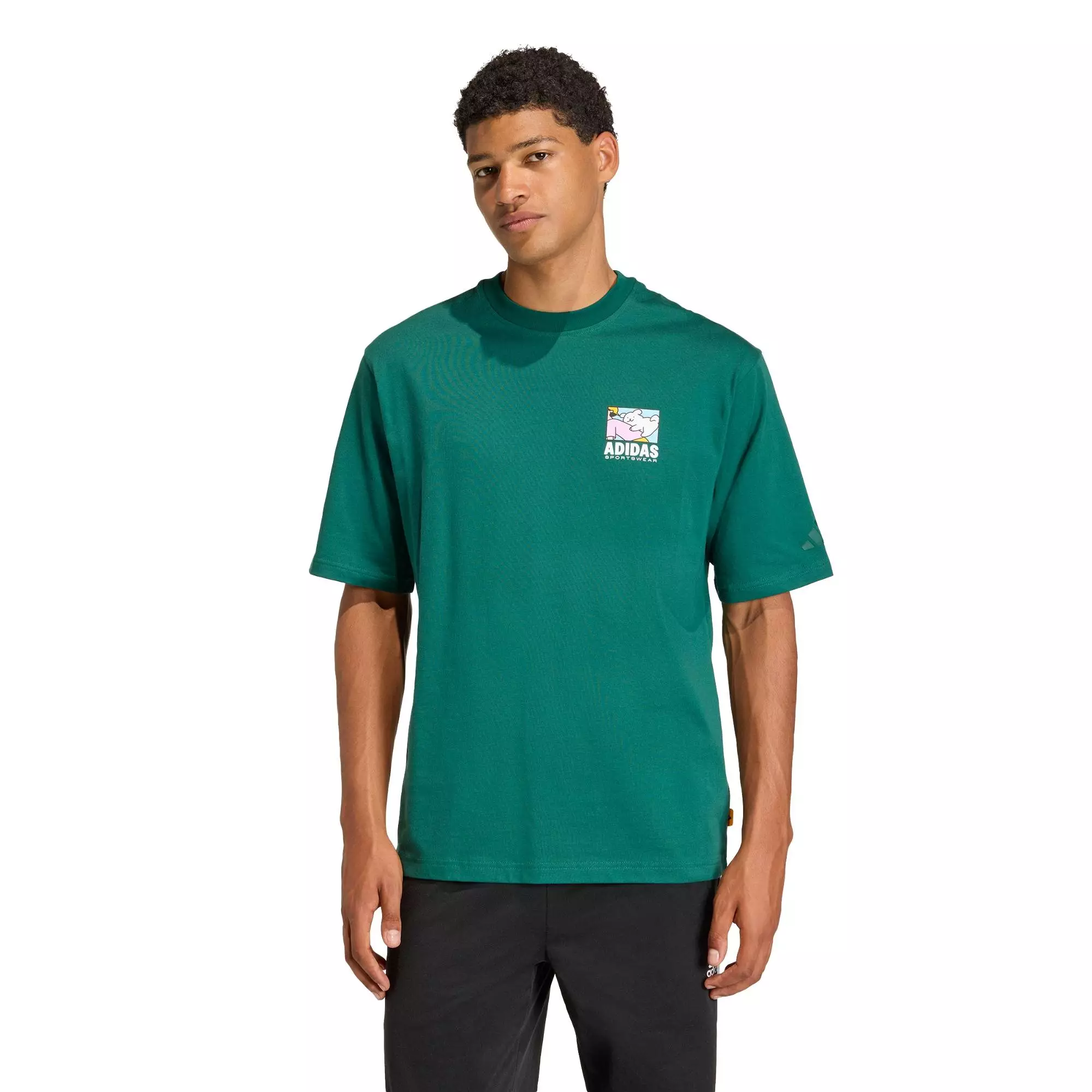 Lifestyle ANIMAL POP BIKE GRAPHIC T-SHIRT Men Green KE4339