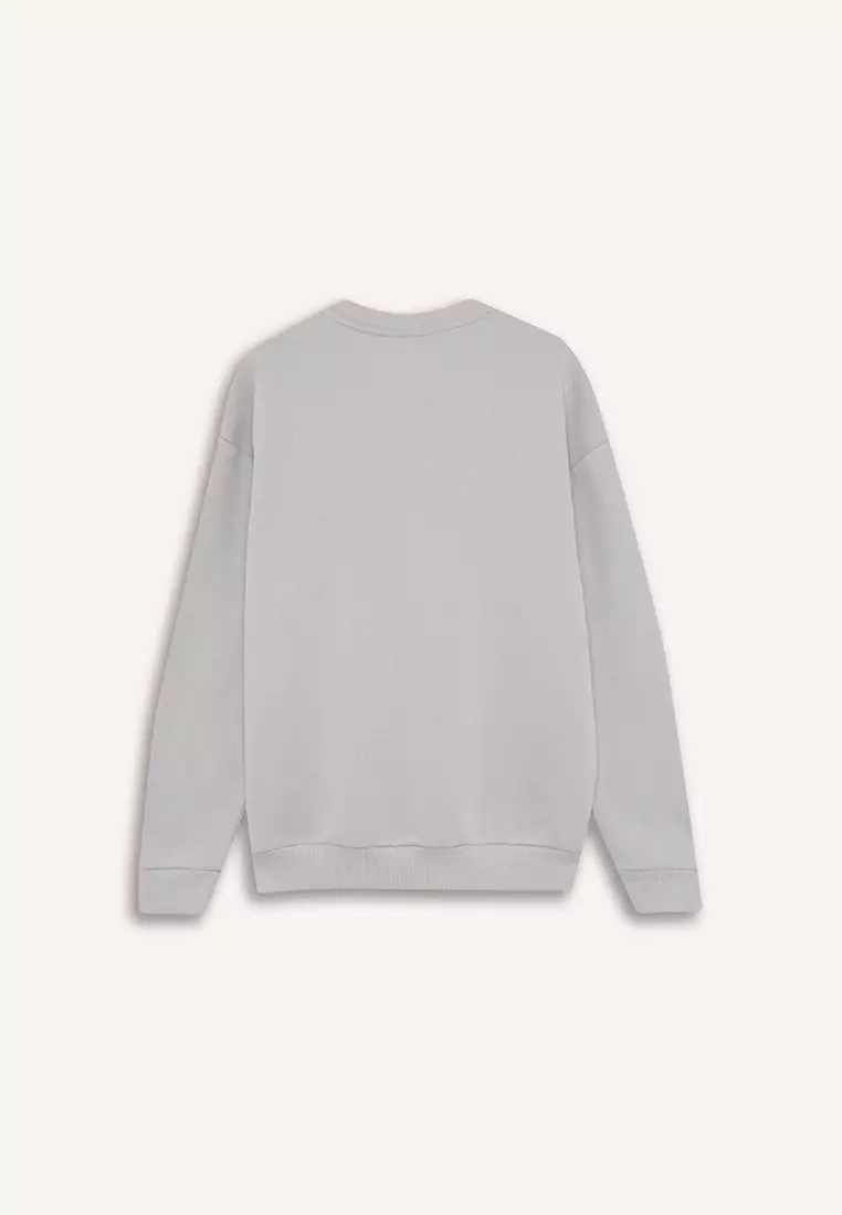 Boxy Fit Crew Neck Printed Sweatshirt