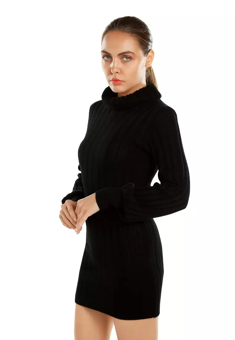 Roll Neck Bodycon Mini Dress In Black