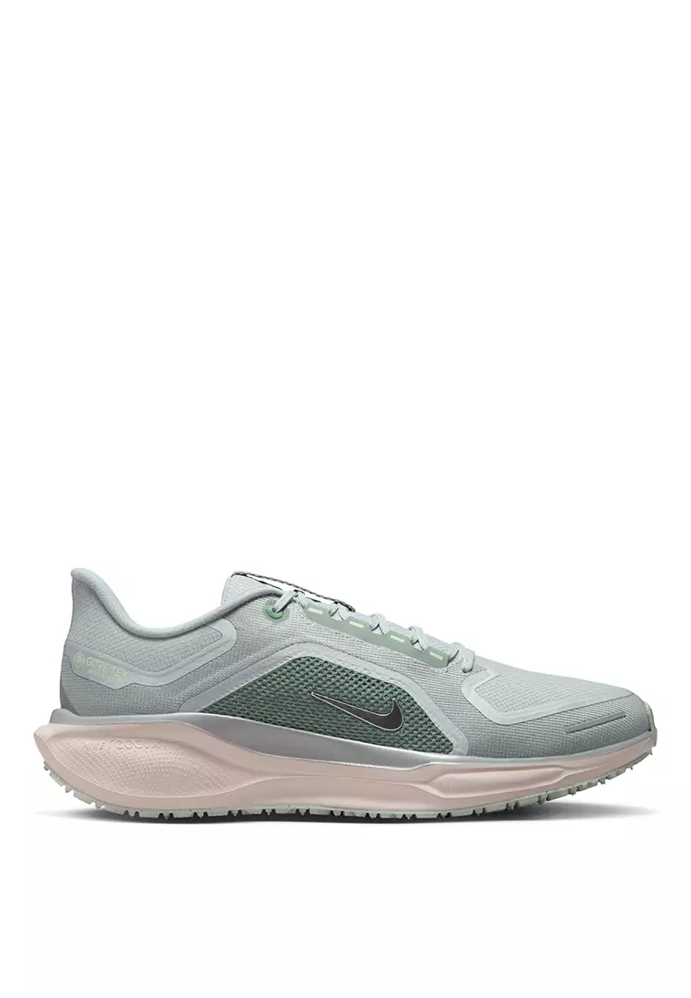 Air Zm Pegasus 41 Gtx