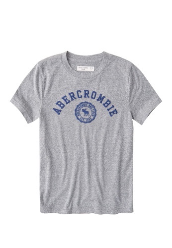 Buy Abercrombie Fitch Tech Logo T Shirt Online On Zalora Singapore