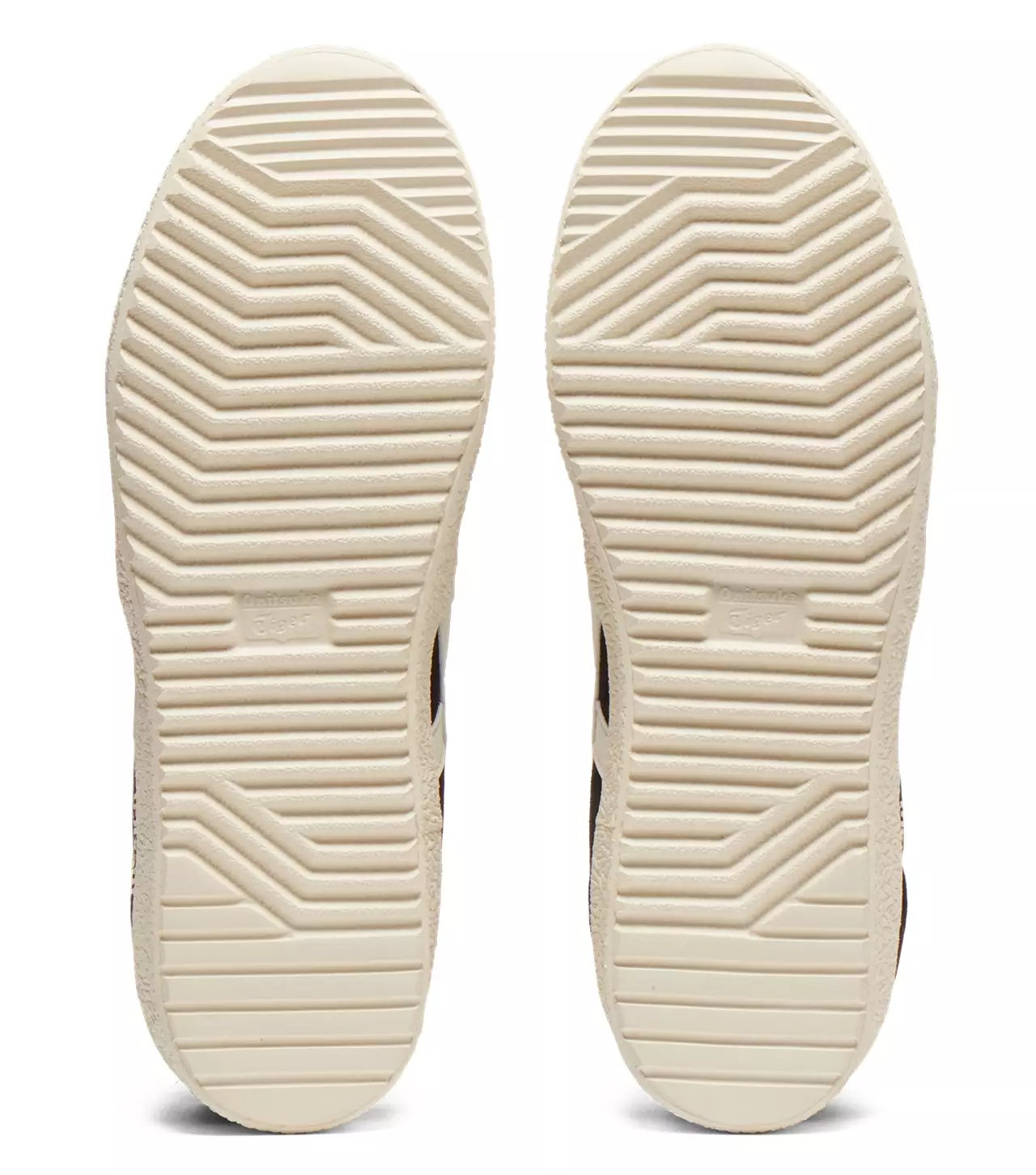 MEXICO 66 DELEGATION