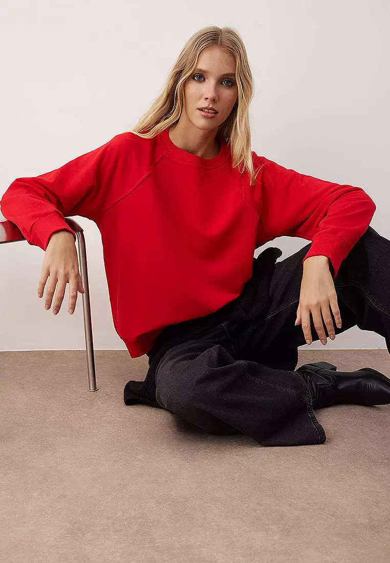 Pattern Basic Raglan Sleeve Crew Neck Knitted Sweatshirt