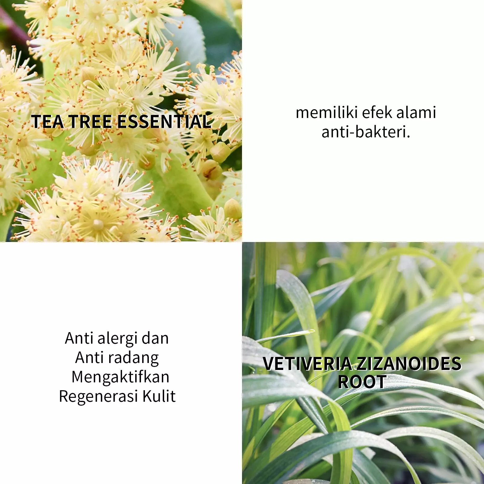 [BPOM] BREYLEE Tea Tree Acne Care Gel