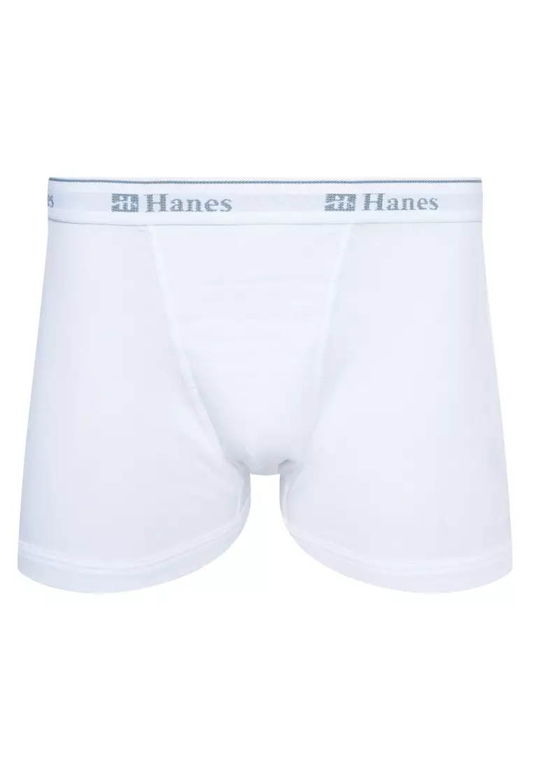 Buy Hanes 3-Pack Tagless Boxer Brief 2024 Online | ZALORA Philippines