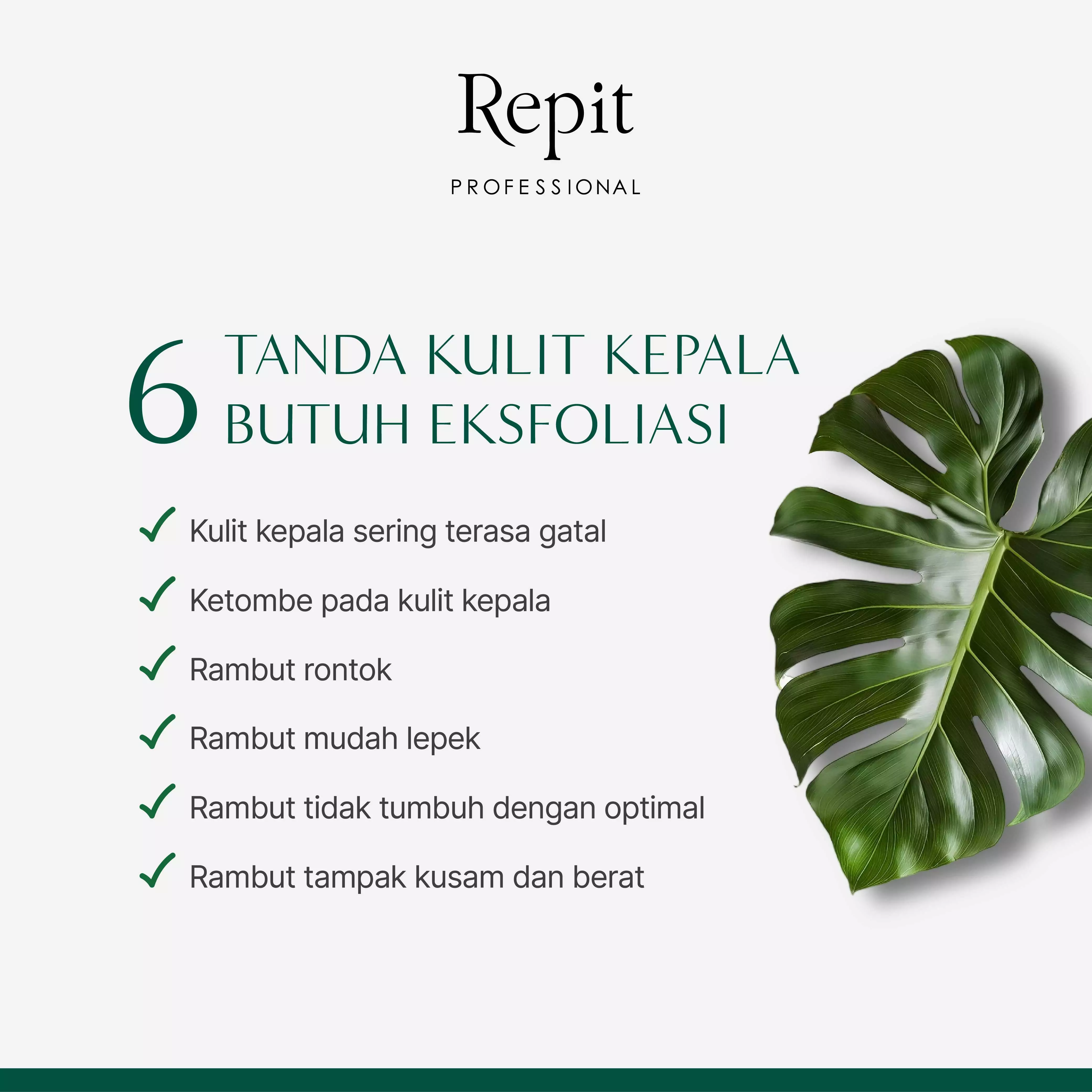 Repit Amazon Story Monspa Scalp Boosting Cleanser - Pembersih Kulit Kepala untuk Memperlancar Pertumbuhan Rambut