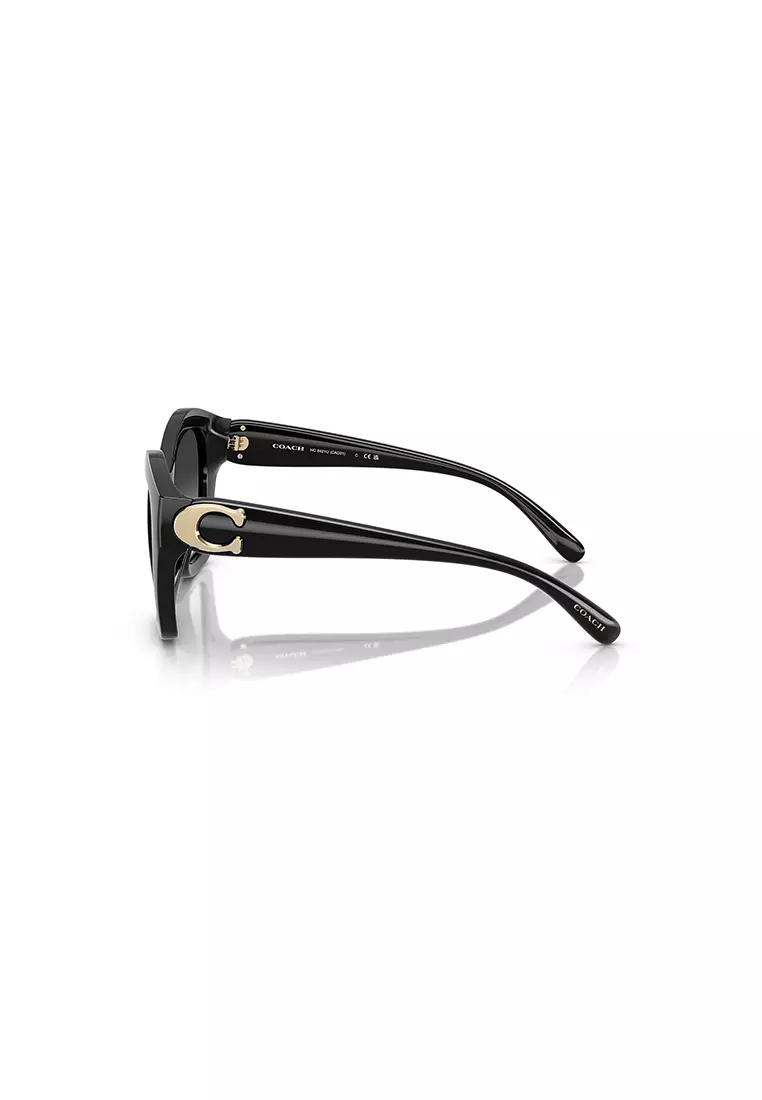 Women's Irregular Frame Black Injected Sunglasses - HC8421U