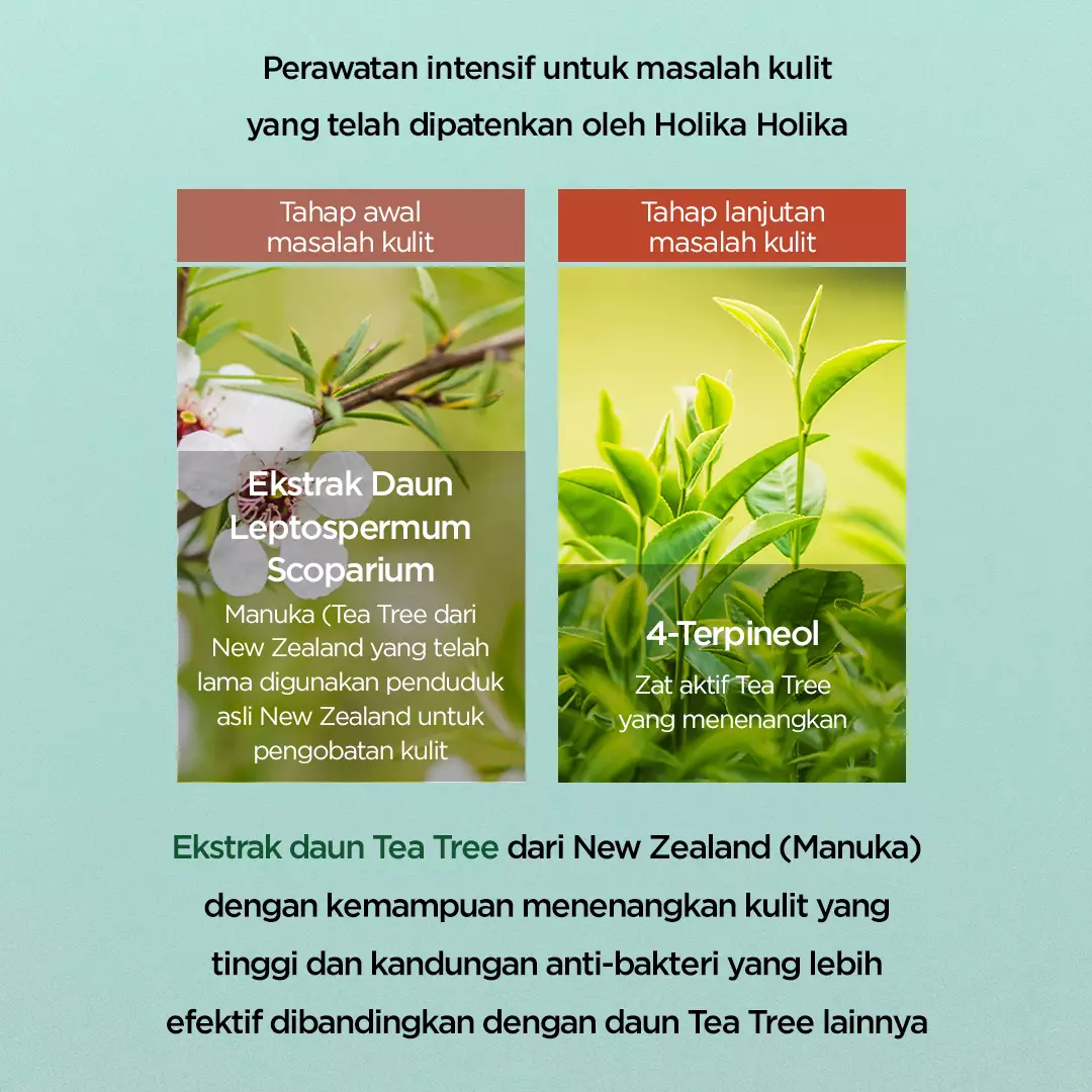 Holika Holika Acnenator Clearing Cream | Pelembab Kulit Berjerawat