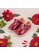 Poptoe Kids red Poptoe Floret - Maroon - Sepatu Anak / Bayi 5BA25KS383C108GS_3