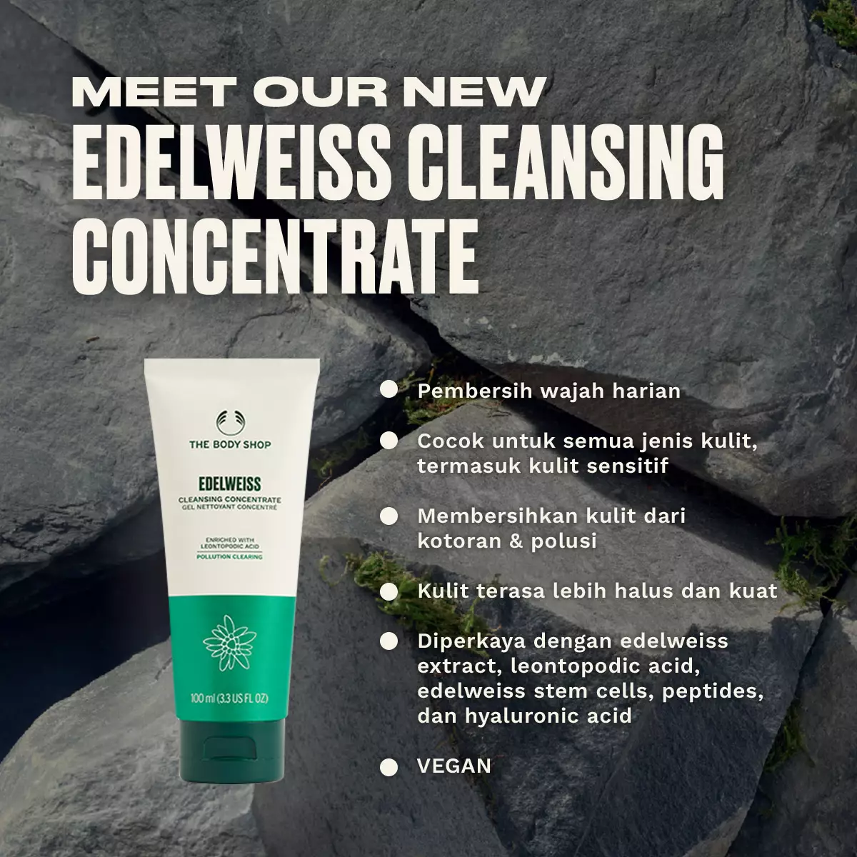 Edelweiss Cleansing Concentrate 100ml