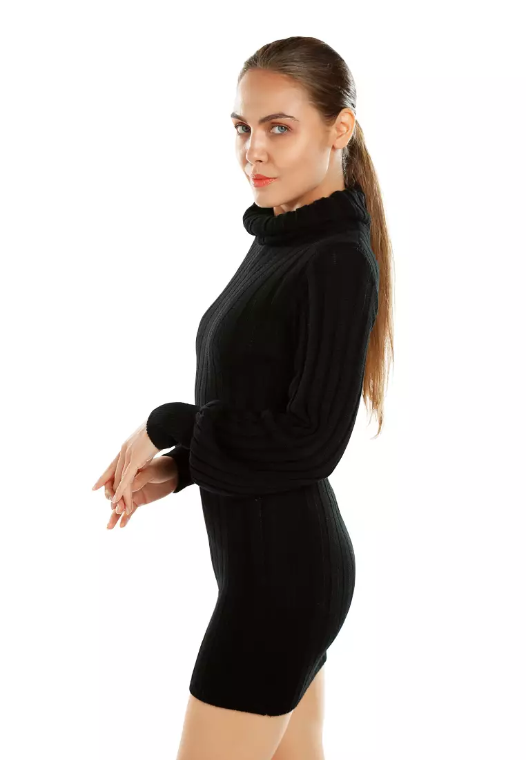 Roll Neck Bodycon Mini Dress In Black