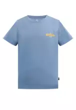 Coronet Blue