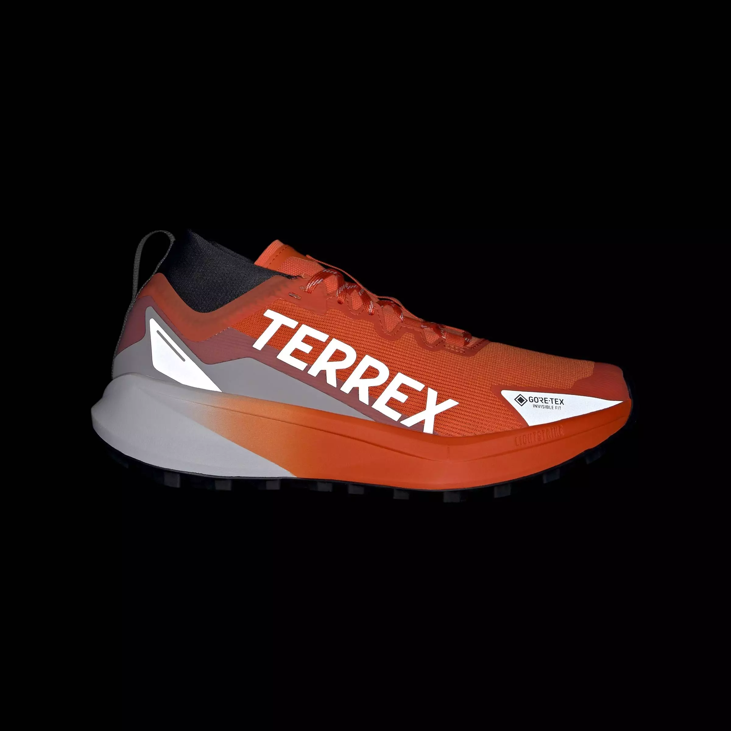 Buy ADIDAS Terrex Agravic GTX Trail Running Shoes 2025 Online ZALORA