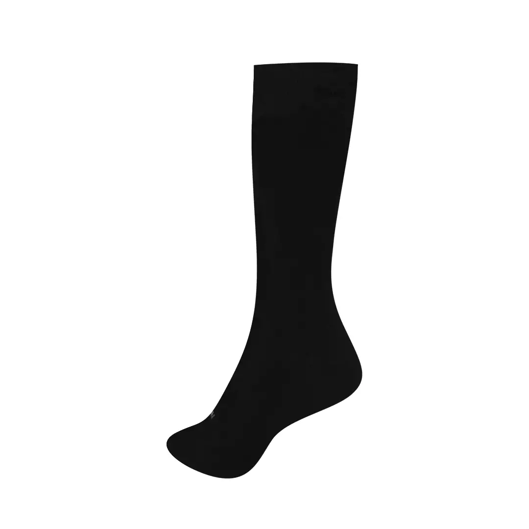 Chameleon  Full Length Socks 3 prs / pack 