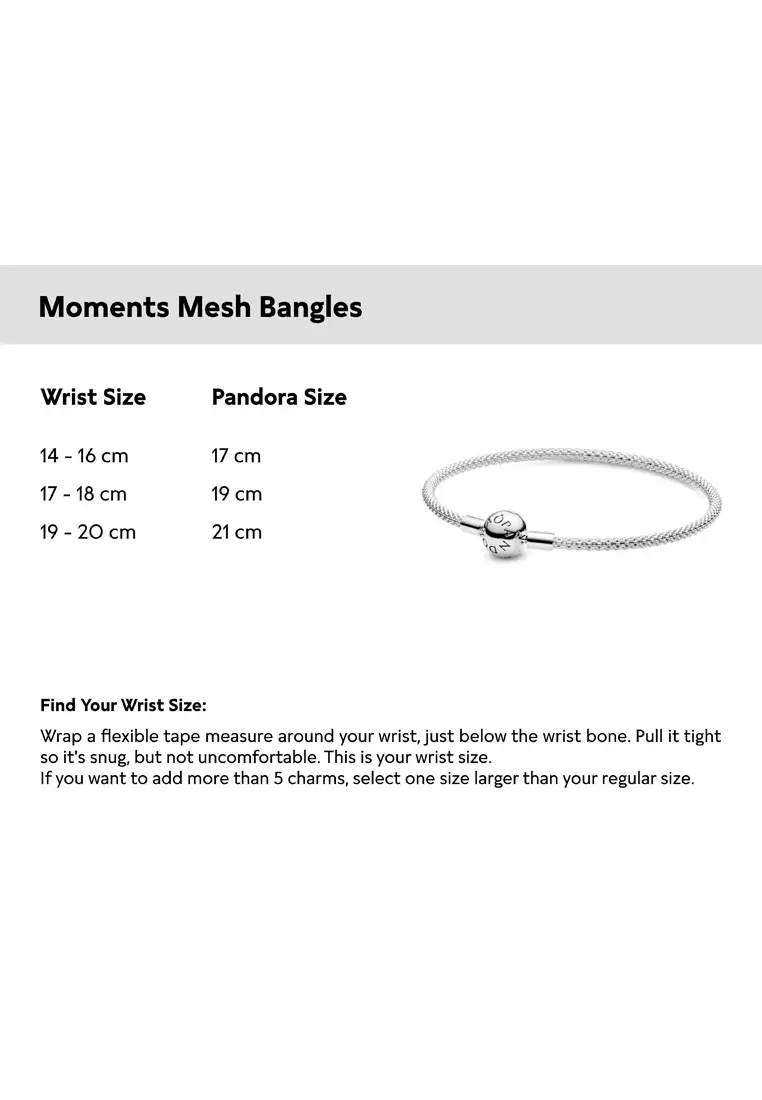 Moments mesh bracelet sale