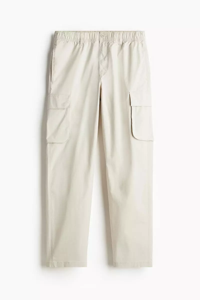 Regular Fit Cargo trousers