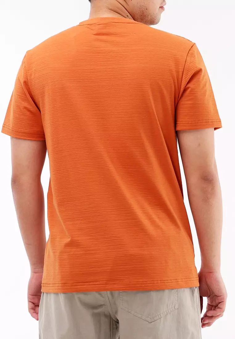 Round Neck Streaky Short Sleeves