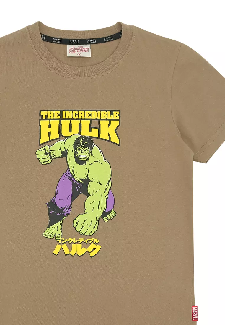 Boys Licensed Graphic T-Shirt The Hulk Japanese Characters