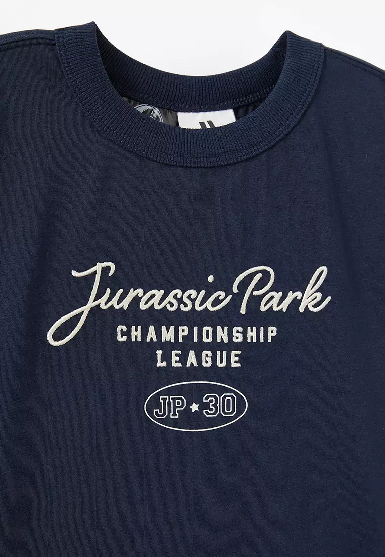 Licensed Drop Shoulder Short Sleeves Tee