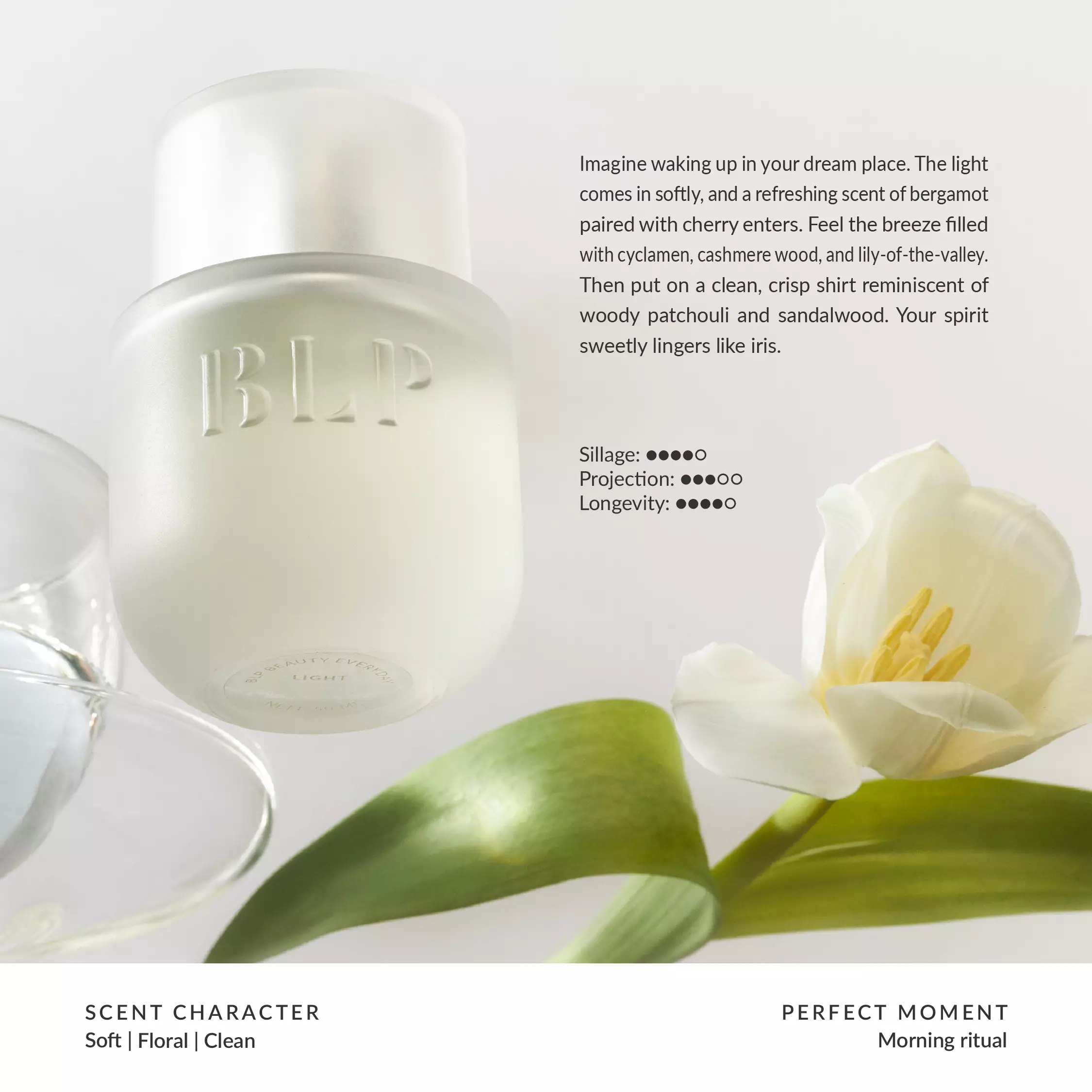 BLP Everyday - Light - Eau de Parfum (EDP) - 50ml