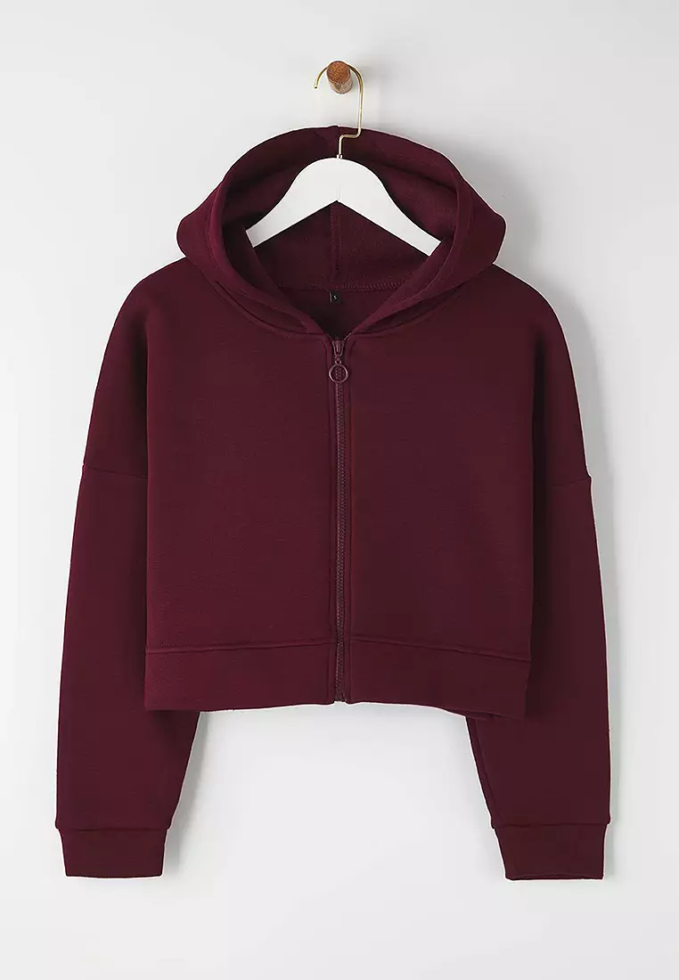 Zippered Hooded Casual Cut Crop Thick Fleece Knitted Sweatshirt