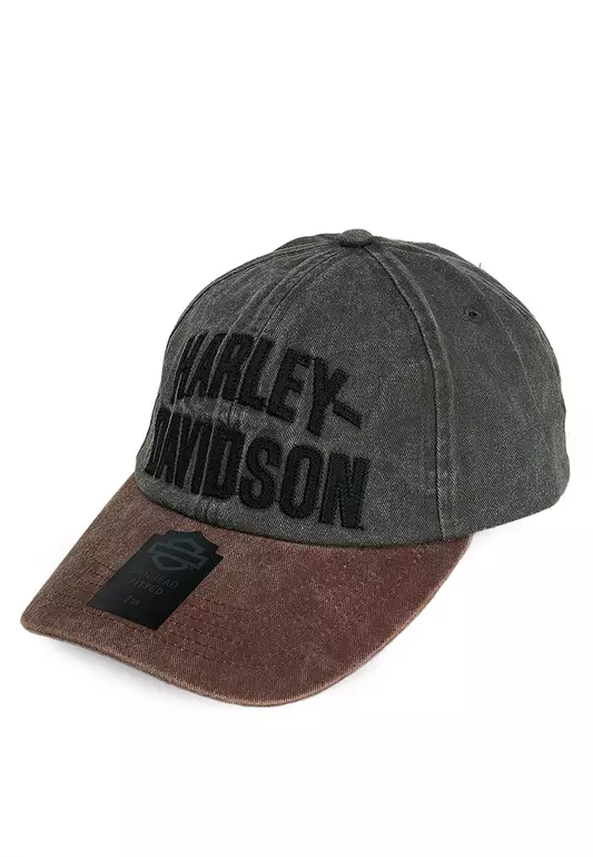 Harley-Davidson® Arched Font Panhead Fitted Cap