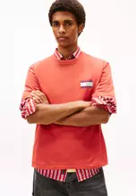 Terracotta Red