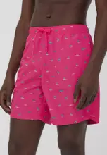 Var Fushia