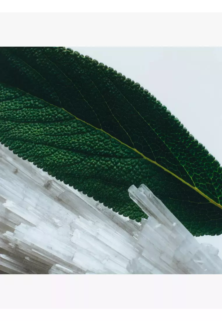 JO MALONE Wood Sage & Sea Salt Cologne Mini 9ml