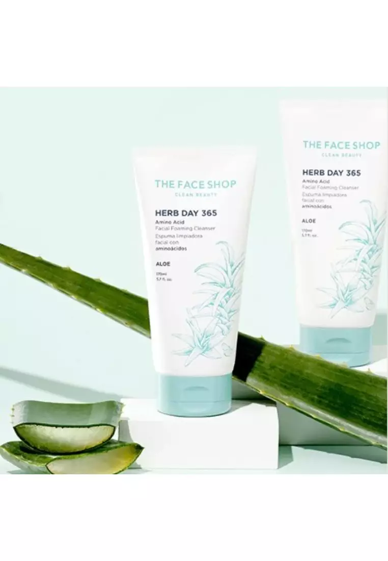 Buy THE FACE SHOP Herb Day 365 Amino Acid Facial Foaming Cleanser Aloe 2023  Online ZALORA Philippines