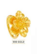 Yellow Gold(3.00G)