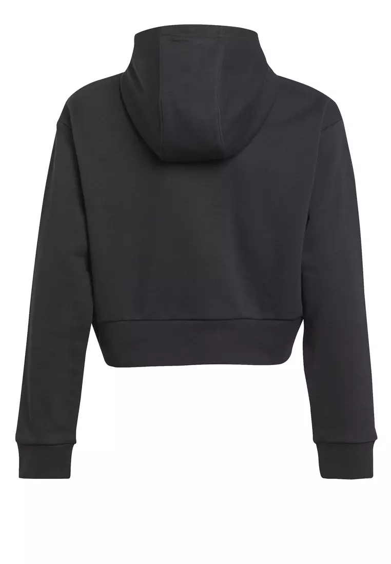 Buy ADIDAS Adicolor Cropped Hoodie 2024 Online | ZALORA Philippines