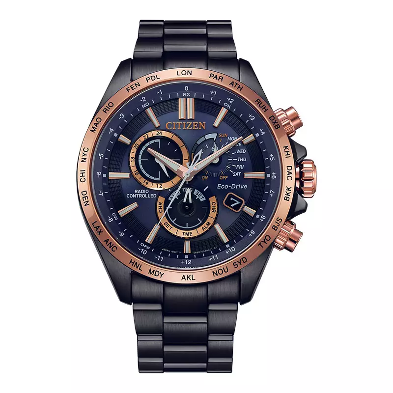 Jual citizen promaster store