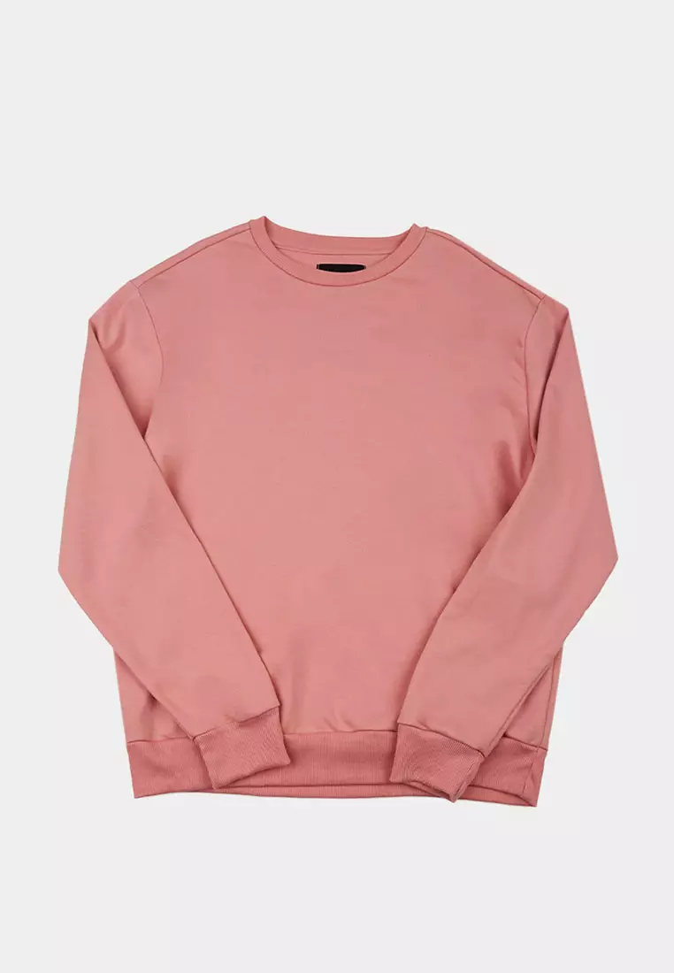 Penshoppe sweatshirts top