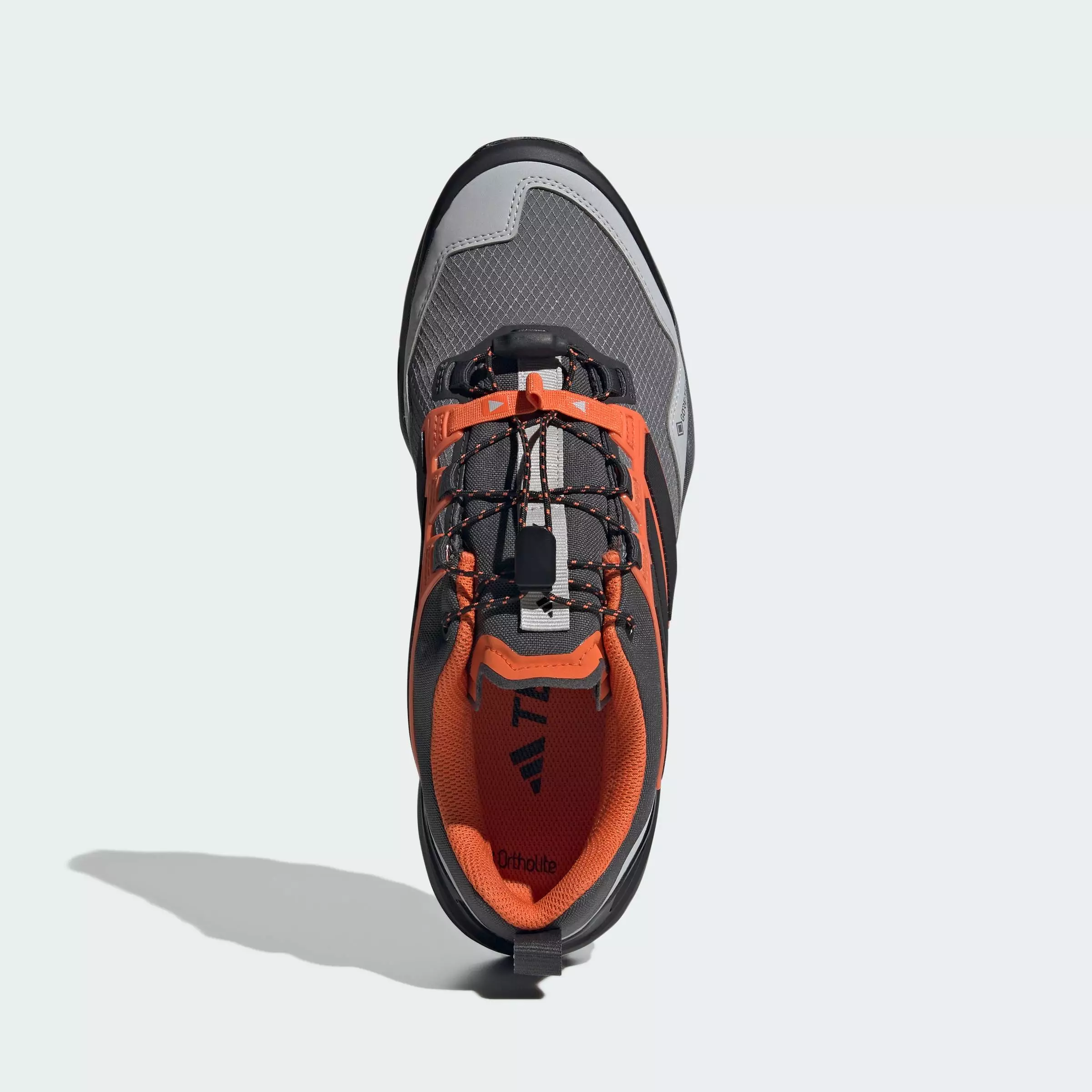 Hiking Terrex Skychaser GORE-TEX Hiking Shoes Men Grey JS4613