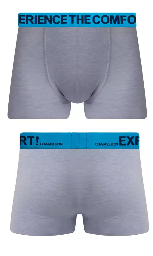 Chameleon Celana Dalam Pria Mini 2 warna / pack