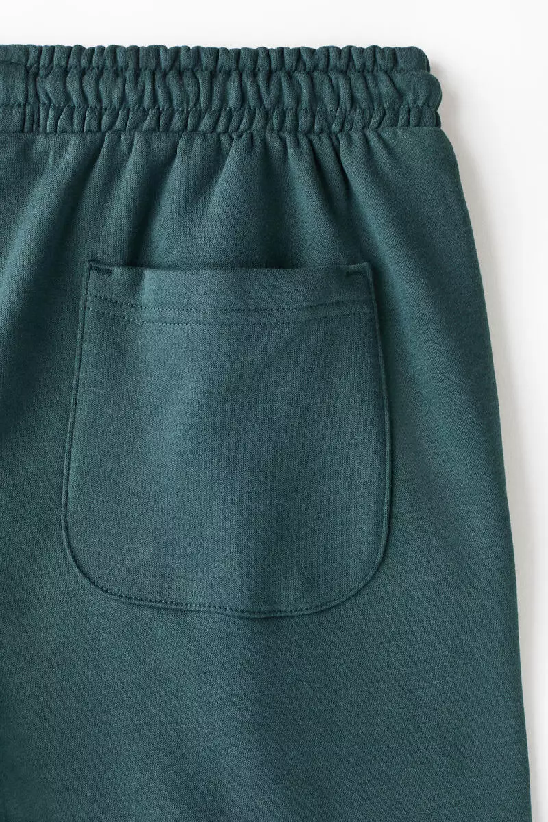 Regular Fit Shorts