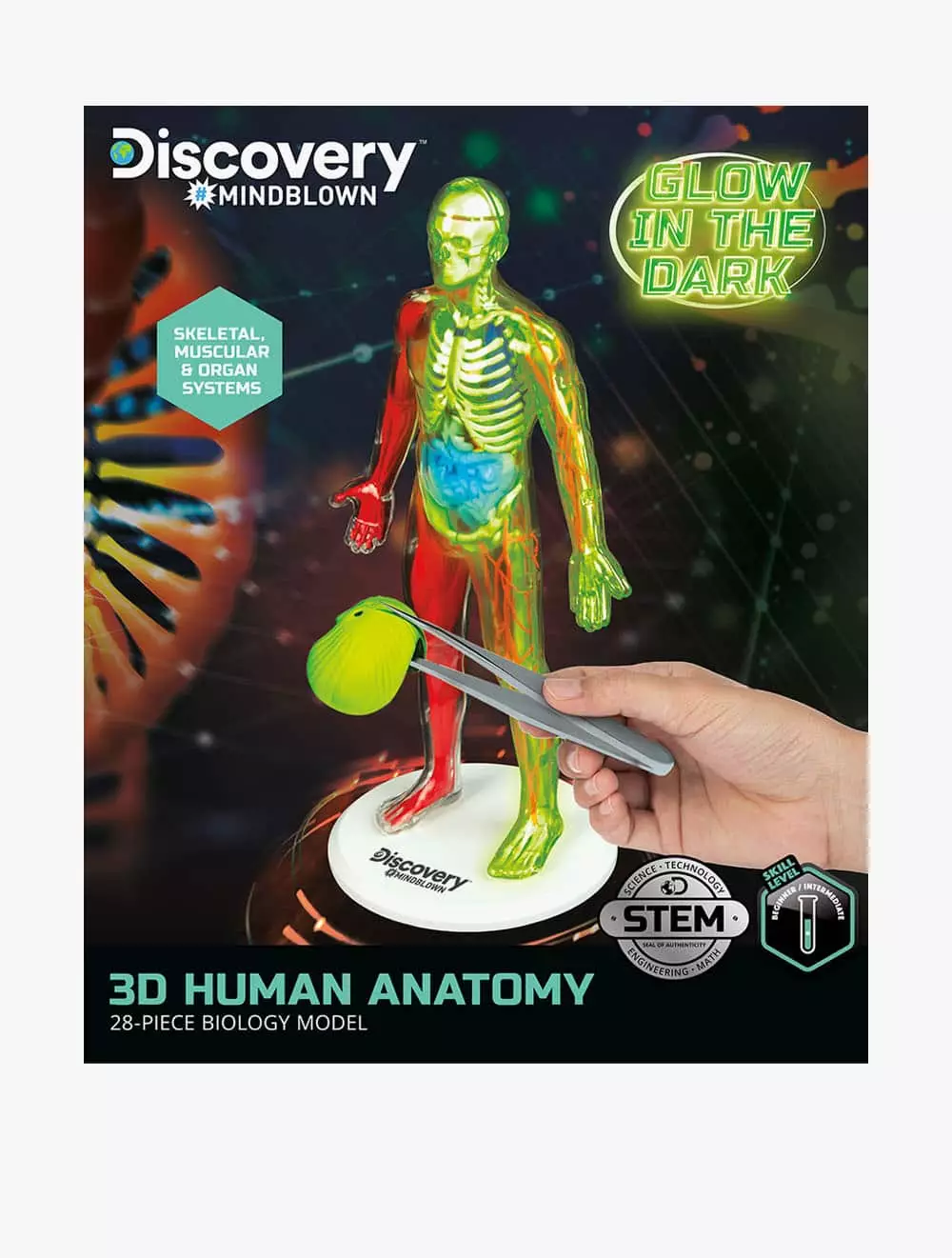 Discovery Mindblown Toy Human Anatomy Kit - DCN1423015831 - Multicolor