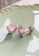 925 Signature silver 925 SIGNATURE Heart Bezel Studs Pink A5FFAAC04F849FGS_2