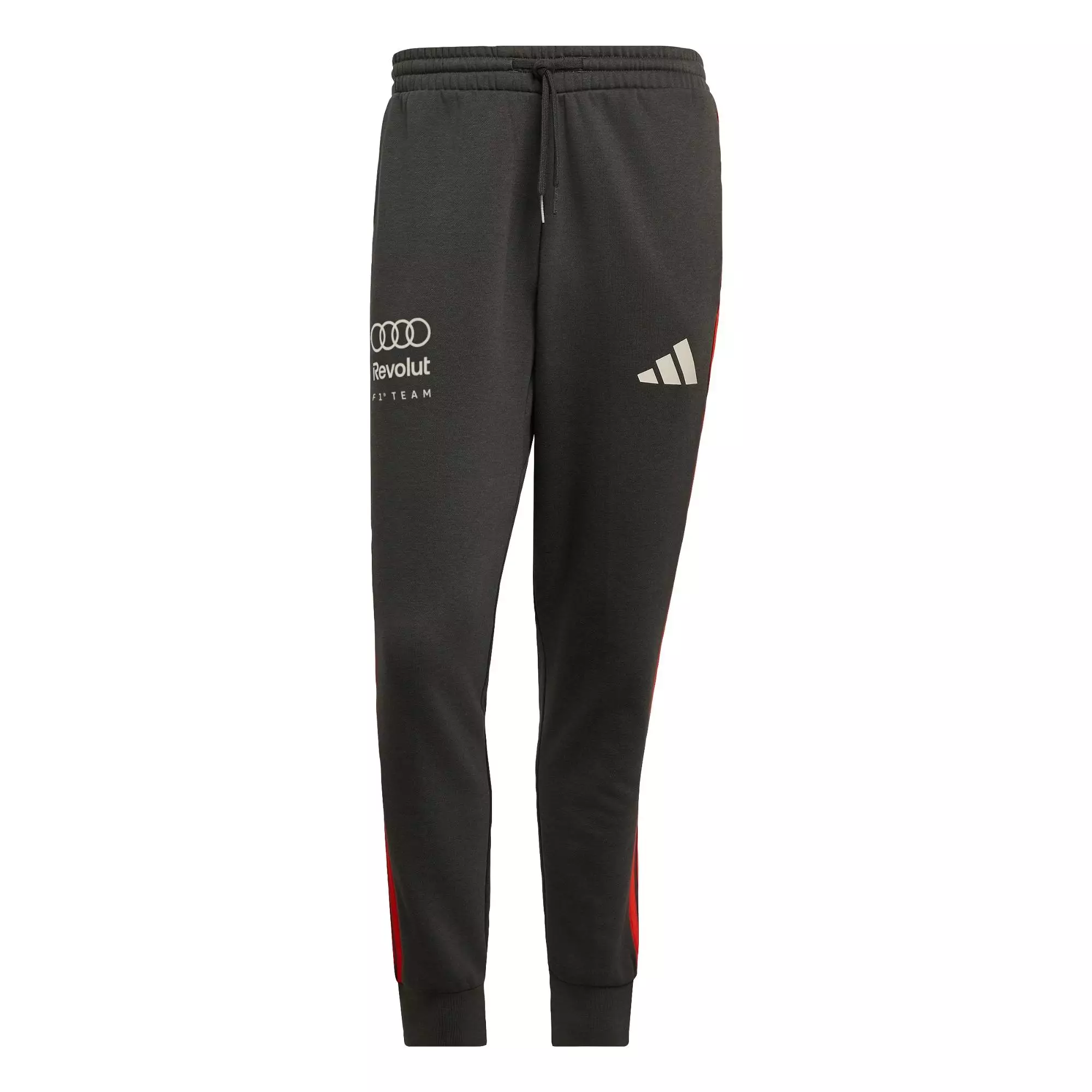 Motorsport AUDI REVOLUT F1 TEAM DNA PANT Men Black KE6783