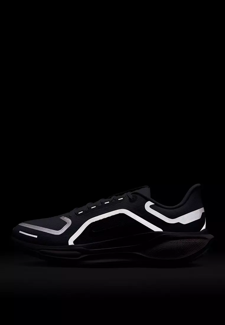 Air Zm Pegasus 41 Gtx