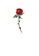 Glamorousky silver Fashion Simple Plated Gold Enamel Red Rose Brooch 85B25AC885B6D1GS_1