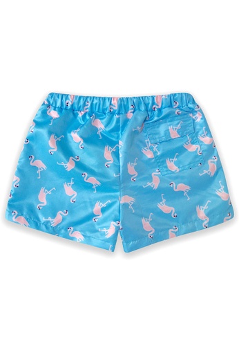 August Society multi Southport Boys' Swim Trunks - Flamingo 0694EKA6EA6F4AGS_1
